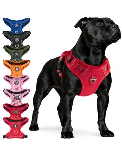 Reichstadt  Hundegeschirr  25RSP083