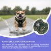 Reichstadt  Hundegeschirr  25RSP083