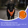 Reichstadt  Hundegeschirr  25RSP083
