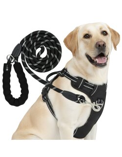 Reichstadt  RS Pets Hundegeschirr & Leinen Set...