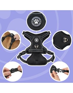 Reichstadt  RS Pets Hundegeschirr & Leinen Set...