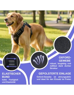 Reichstadt  RS Pets Hundegeschirr & Leinen Set 25RSP083-4