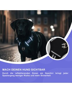 Reichstadt  RS Pets Hundegeschirr & Leinen Set 25RSP083-4