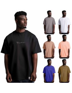 Reichstadt Herren T-Shirt 22RS033